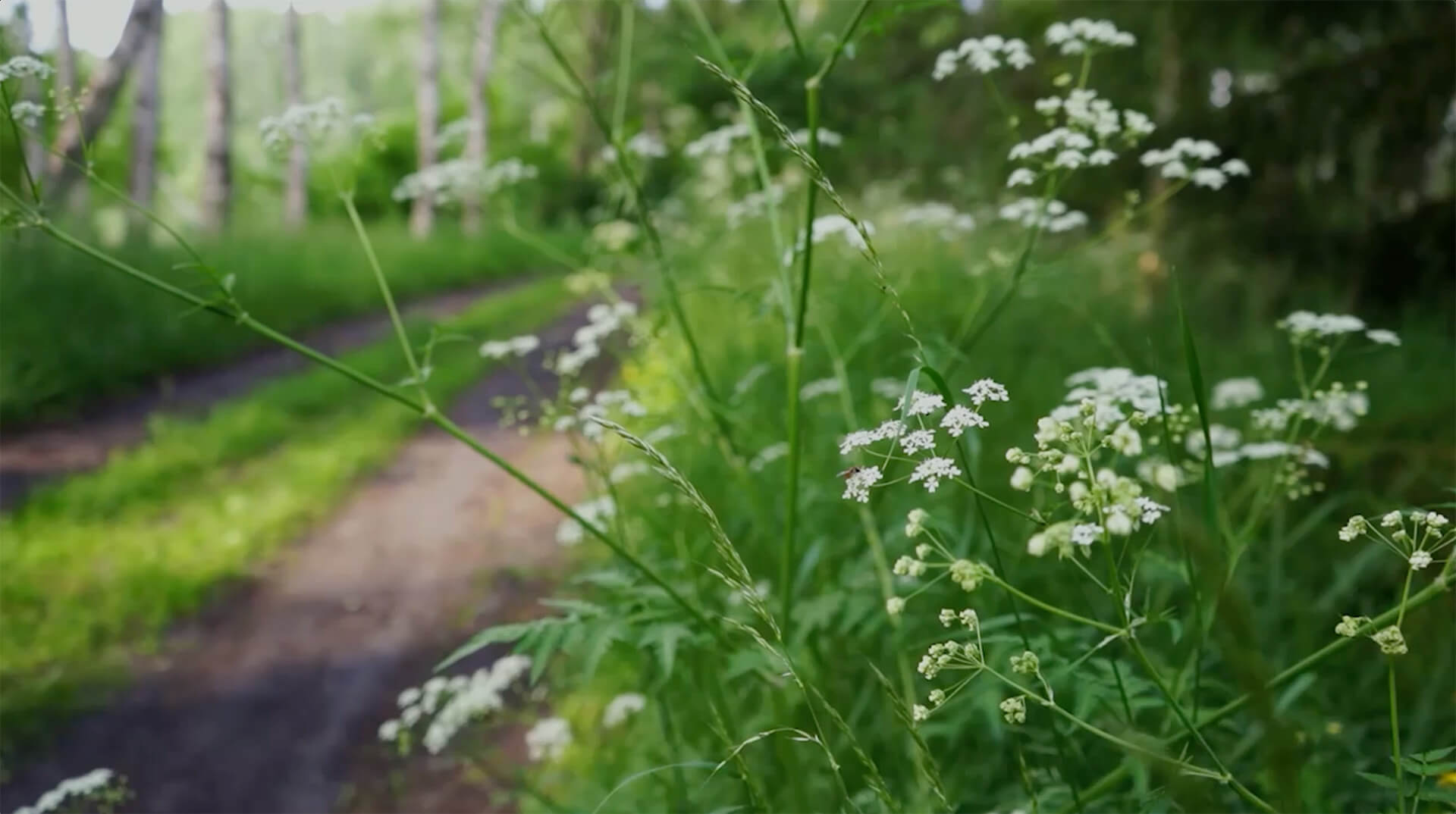 Die Auszeit vom Alltag